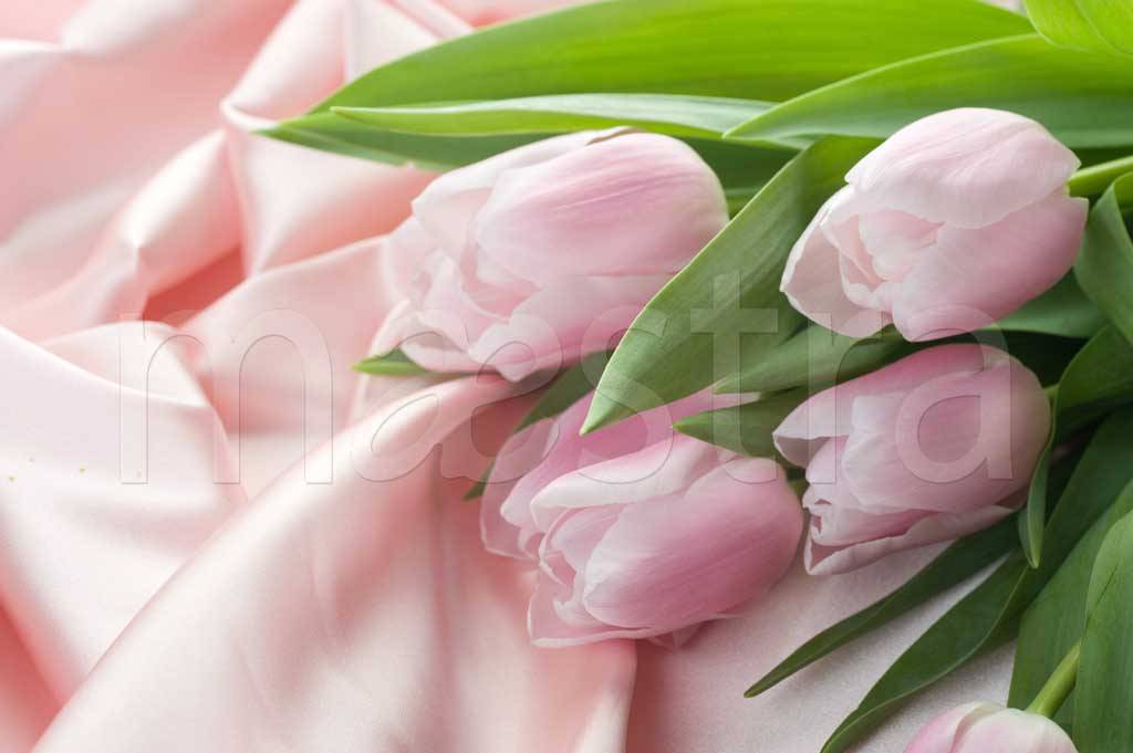 Фотообои Тюльпаны на розовом шелке